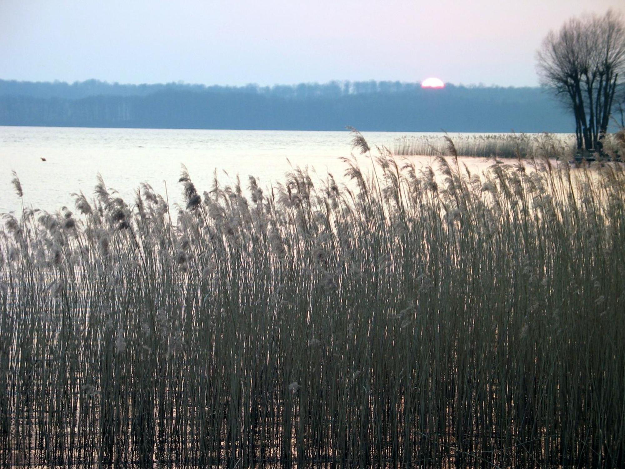 Domek Nad Jeziorem Drawsko Villa Czaplinek Exteriör bild